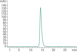 SCF/c-Kit signaling axis: Regulating cancer stemness