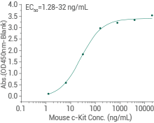 SCF/c-Kit signaling axis: Regulating cancer stemness