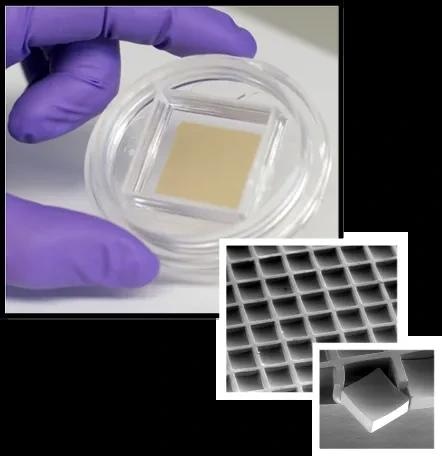 Discover CellRaft AIR® System to maintain cells in an unperturbed state