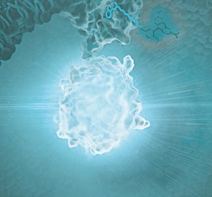 NanoBRET™ Target Engagement for drug development