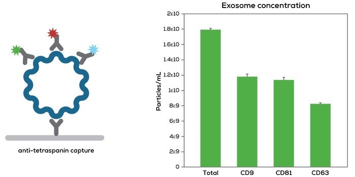 Introducing Leprechaun, a lentivirus titer