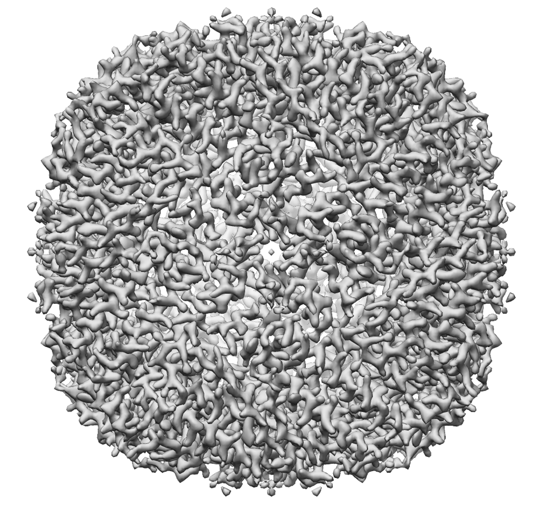 Apoferritin resolved to 2.7 Å at 100 keV.