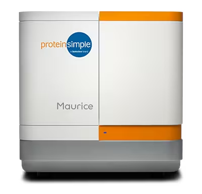 Maurice-Imaged capillary electrophoresis platform