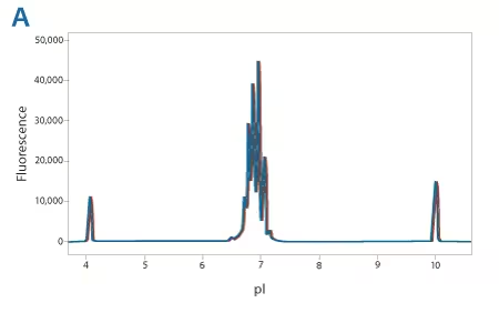 Maurice-Imaged capillary electrophoresis platform