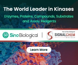 SignalChem Biotech, World Leader in Kinases, Is Now Part of Sino Biological