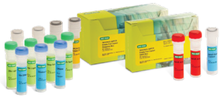 Vericheck ddPCR Empty-Full Capsid Kit (AAV5)