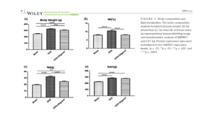 iNSiGHT DXA for preclinical research