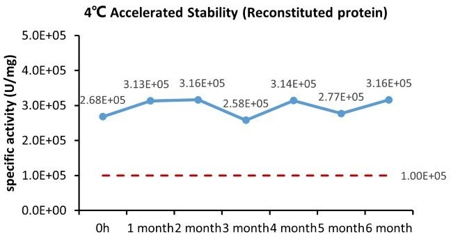 GMP-compliant human IL-21 protein