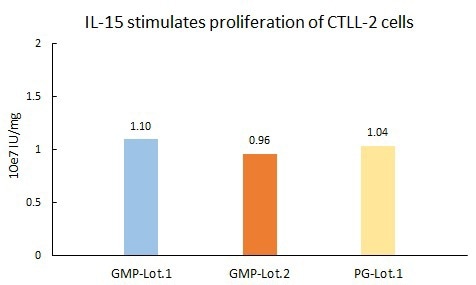Human IL-15 protein with GMP certification