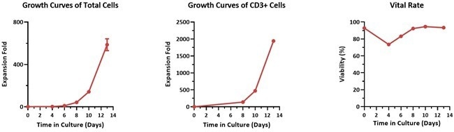 CelThera™ GMP T Cell Expansion Medium (Phenol Red-free): A serum-free culture medium