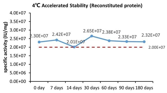GMP-grade human IFN-gamma protein