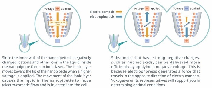 Single Cellome™ Unit SU10: Single-cell targeting with direct delivery