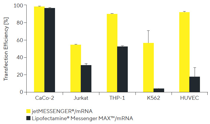 High-efficiency mRNA transfection for reliable gene expression with jetMESSENGER®