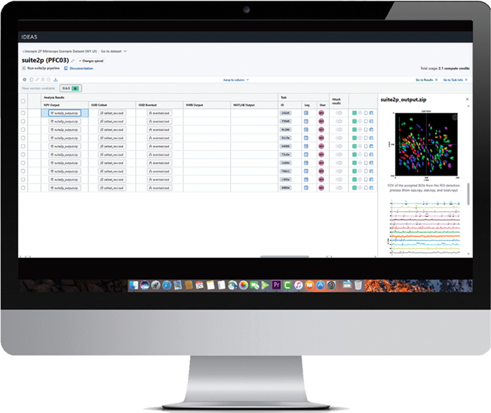 Neural circuit imaging with the nVista 2P miniscope