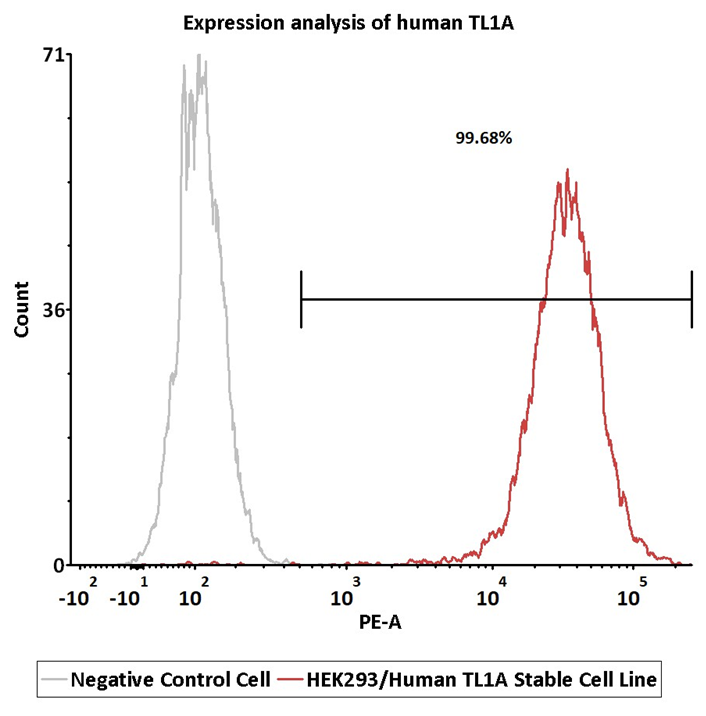 Expression analysis of human TL1A on HEK293/Human TL1A Stable Cell Line by FACS. Cell surface staining was performed on HEK293/Human TL1A Stable Cell Line or negative control cell using anti-human TL1A Antibody followed by staining with PE anti-human IgG Fc Antibody.