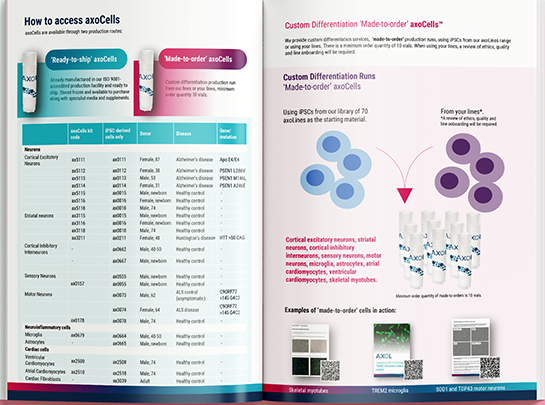 Human iPSCs: Advanced In Vitro Models & Applications Guide