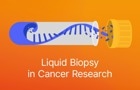 eBook: Liquid biopsy in cancer research
