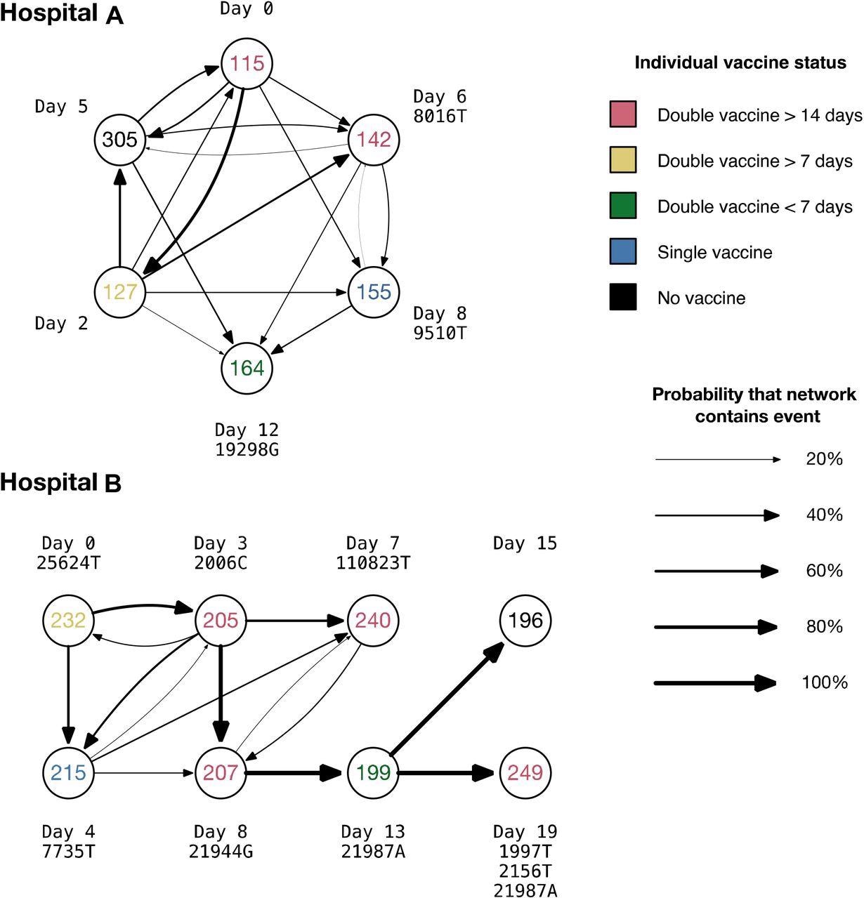Potential transmission networks between HCWs. Individual labels are coloured according to vaccine status, including the timing prior to infection at which the second vaccine was given, where relevant. The thickness of lines between individuals show the probabilities of distinct pairwise transmission events between individuals; these probabilities are conditional on transmission having occurred between the individuals observed in each network. Labels show the relative dates on which individuals became symptomatic, and respective gains of nucleotides in sequences collected from each individual with respect to the mutual consensus.