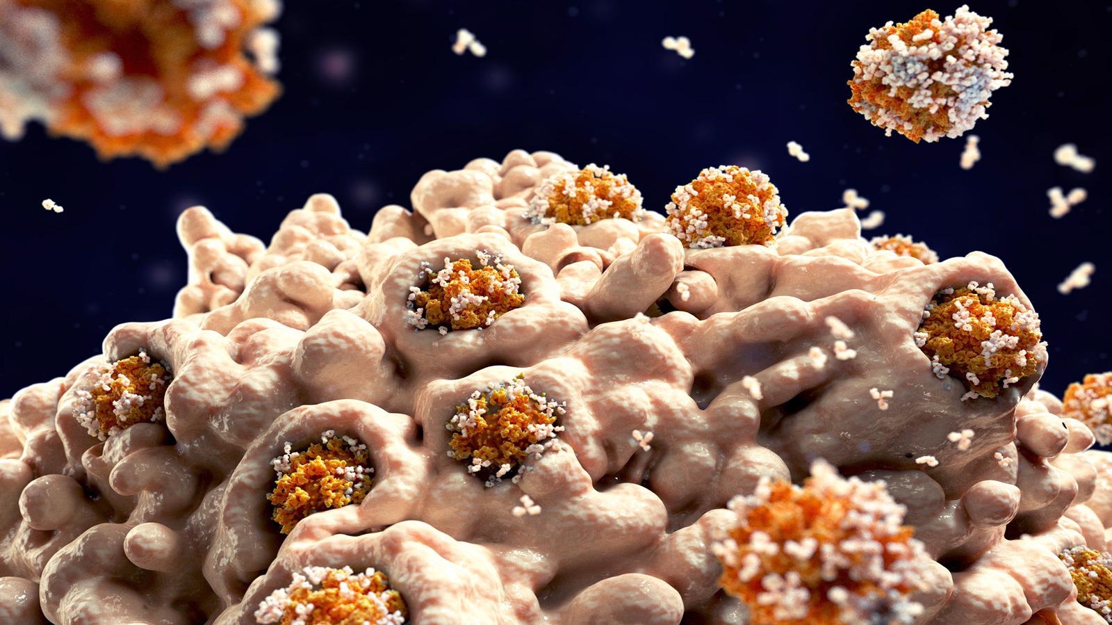 Study: SARS-CoV-2 Antibodies Mediate Complement and Cellular Driven Inflammation. Image Credit: Juan Gaertner / Shutterstock