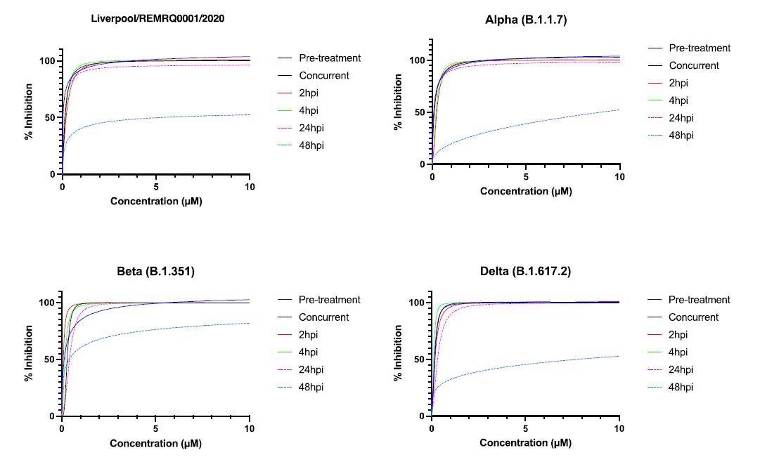 In-vitro cytotoxicity of NHC to hACE2-A549 cells. Cytotoxicity of different concentrations (in µM) was measured using the Cell-titer Glo Assay to measure the percentage ATP production in treated cells compared to mock treated cells (n=7). There was no significant difference in % ATP production of cells compared to control cells in most concentrations of NHC, except at 10uM (p<0.0001) and 0.1µM (p=0.02). To determine the inhibitory activity of NHC against different VOCs and an ancestral B-lineage virus, dose response assays were performed by infecting hACE2-A549 cells at an MOI of 0.1 in media alone and in media containing 0.01, 0.1, 1, and 10µM NHC. After 72 hours incubation, cell supernatants were removed, and viral titres determined by plaque assay. The IC50 (the concentration of drug required to inhibit virus titre by 50%) was determined using non-linear regression with GraphPad Prism 9. The results demonstrated similar IC50 values for each variant and the ancestral strain of between 0.04 and 0.16µM concentrations.