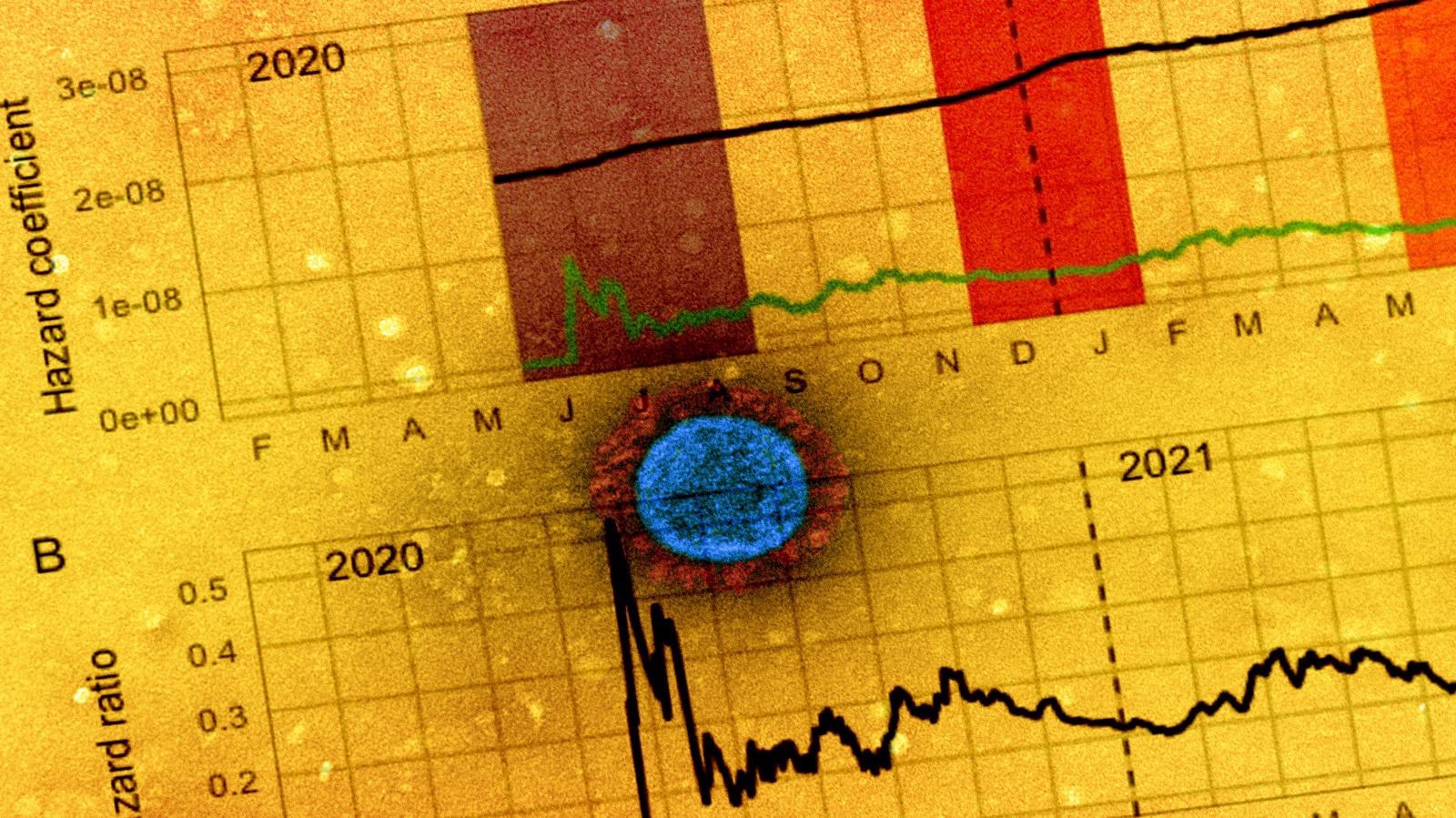 Study: Increased risk of SARS-CoV-2 reinfection associated with emergence of the Omicron variant in South Africa. Image Credit: NIAID