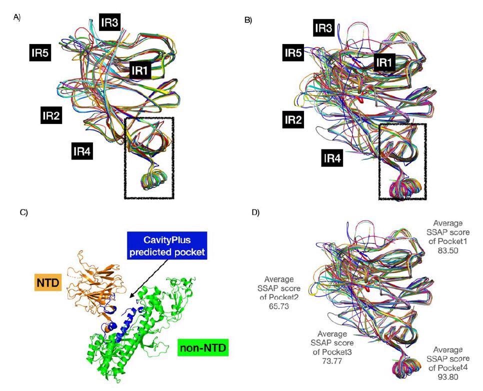 Structure superposition of CoV NTDs. A) comprises the 16 BCoV NTDs in the multip sequence alignment (see Figure 5). B) constitutes 24 BCoV NTDs from the CATH family. For and B), we used known structures and structural models (built using AlphaFold2). We found a high conserved pocket (in the box) (score of 1838 - highly positive DrugScore constitutes hi druggability) that could be a good pan coronavirus drug target. C) demonstrates this pocket predict by CavityPlus in blue. D) We computed the structural conservation of pockets by calculating t average SSAP score.