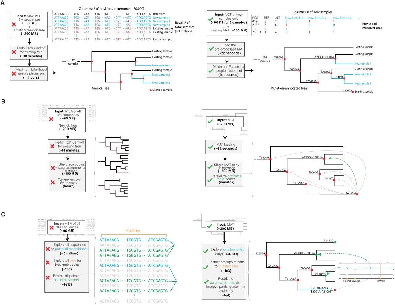 Innovative optimizations realized in (A) UShER, (B) matOptimize and (C) RIPPLES for phylogenetic placement, tree optimization and recombination detection, respectively. The left side shows a representative illustration of the prior approaches and the right side illustrates the approach used in our tools.