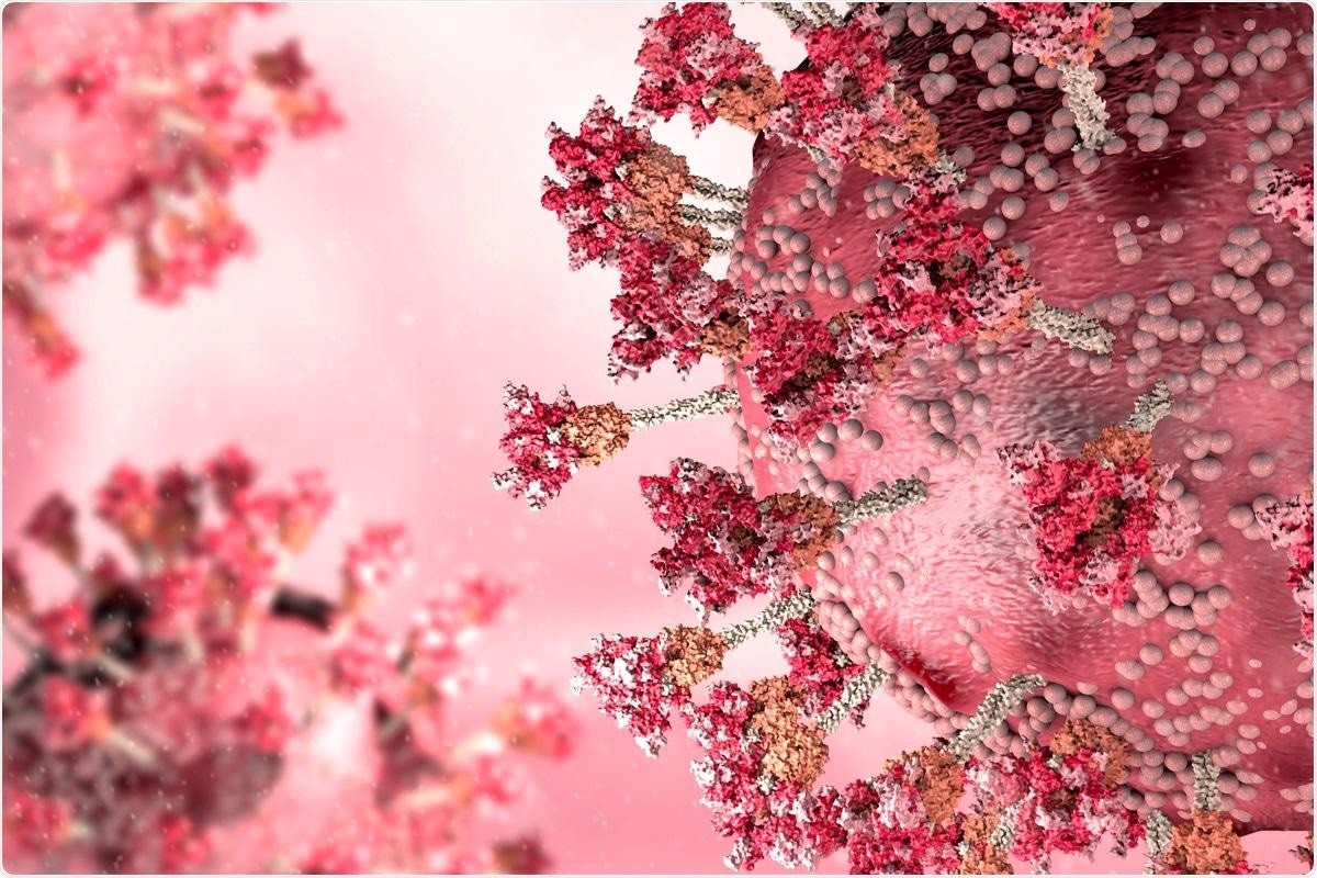 Study: Preserved Omicron Spike specific antibody binding and Fc-recognition across COVID-19 vaccine platforms. Image Credit: Naeblys / Shutterstock.com