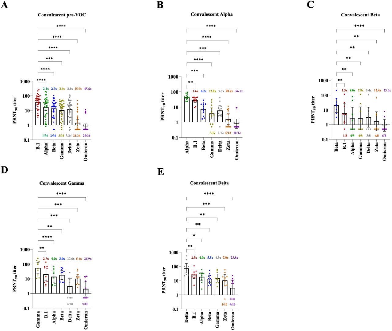 Neutralization in infection-derived blood specimens against seven authentic isolates of SARS-CoV-2 variants (B.1, Alpha, Beta Gamma, Delta, Zeta, Omicron). Bars represent geometric mean titers (GMT) of 90% reduction endpoint titers (PRNT90) with a 95% confidence interval. Convalescent specimens are derived from individuals infected with (A) early-pandemic SARS-CoV-2 (pre-VOC), (B) Alpha (C) Beta (D) Gamma (E) Delta. Colored numbers above bars refer to fold change reduction of GMT versus the homologous (infecting) variant, shown as the first bar of each figure. Colored numbers below each bar represent the number of specimens with complete loss of neutralization (PRNT90 titer < 1).