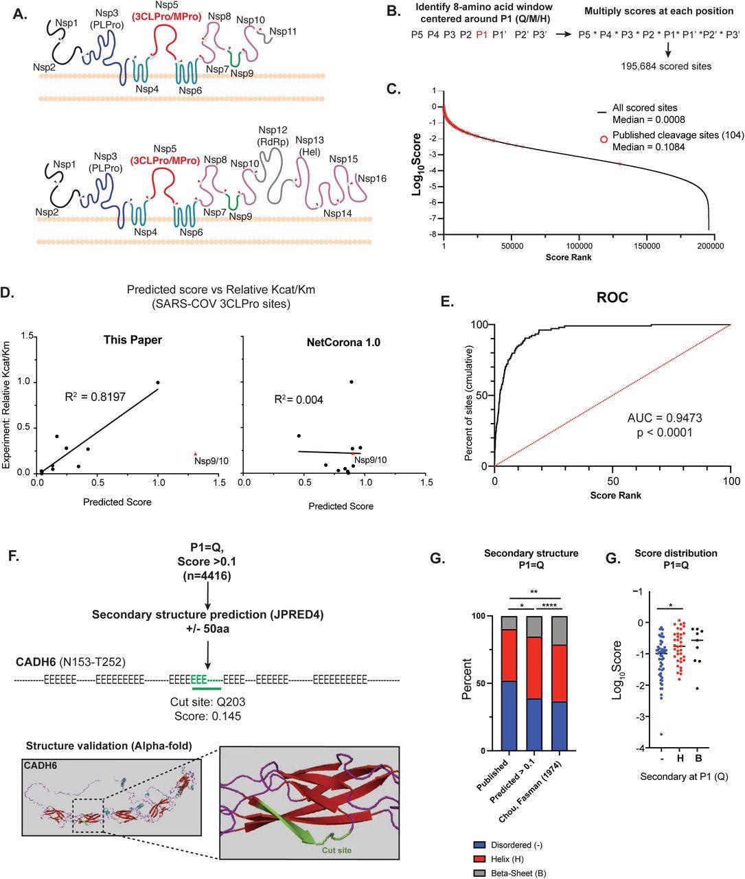 Bioinformatic prediction of SARS-COV2 3CL human protein targets A) Diagram of the endogenous function of the SARS-CoV-2 3C-like protease (3CLPro).