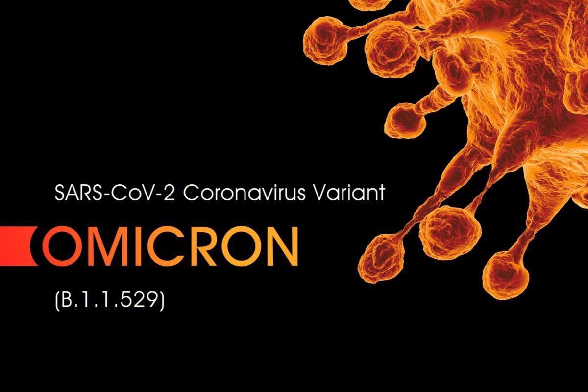 Study: SARS-CoV-2 Omicron variant: Antibody evasion and cryo-EM structure of spike protein–ACE2 complex. Image Credit: CROCOTHERY/Shutterstock