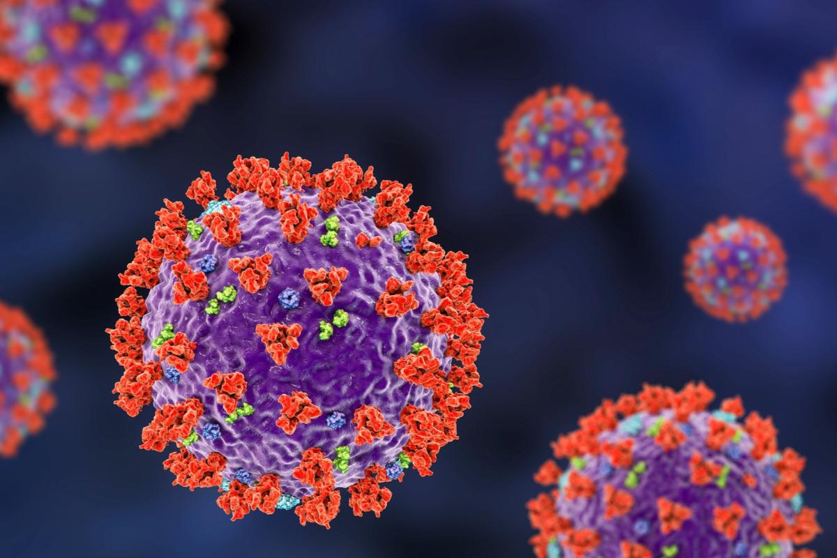 Study: Immunization with synthetic SARS-CoV-2 S glycoprotein virus-like particles protects Macaques from infection. Image Credit: Kateryna Kon/Shutterstock