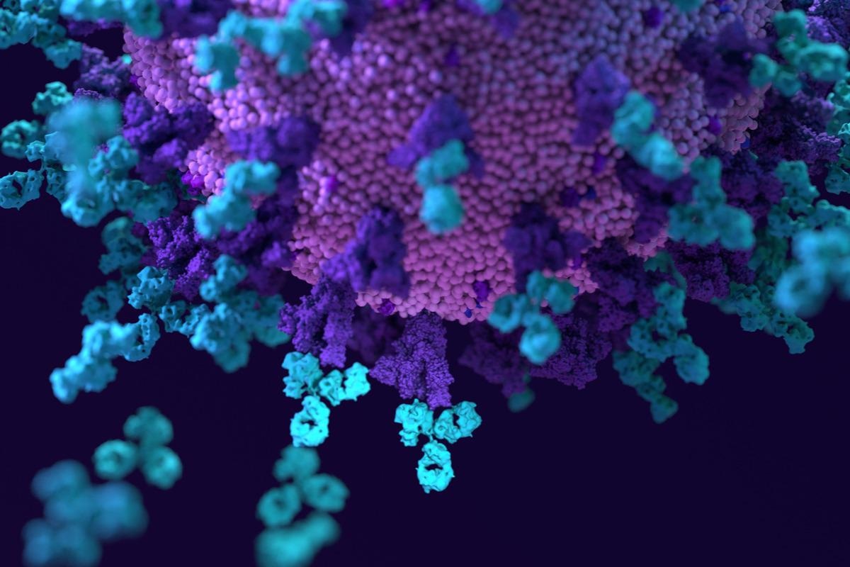 Study: Omicron Neutralizing and Anti-SARS-CoV-2 S-RBD Antibodies in Naïve and Convalescent Populations After Homologous and Heterologous Boosting With an mRNA Vaccine. Image Credit: Design_Cells/Shutterstock