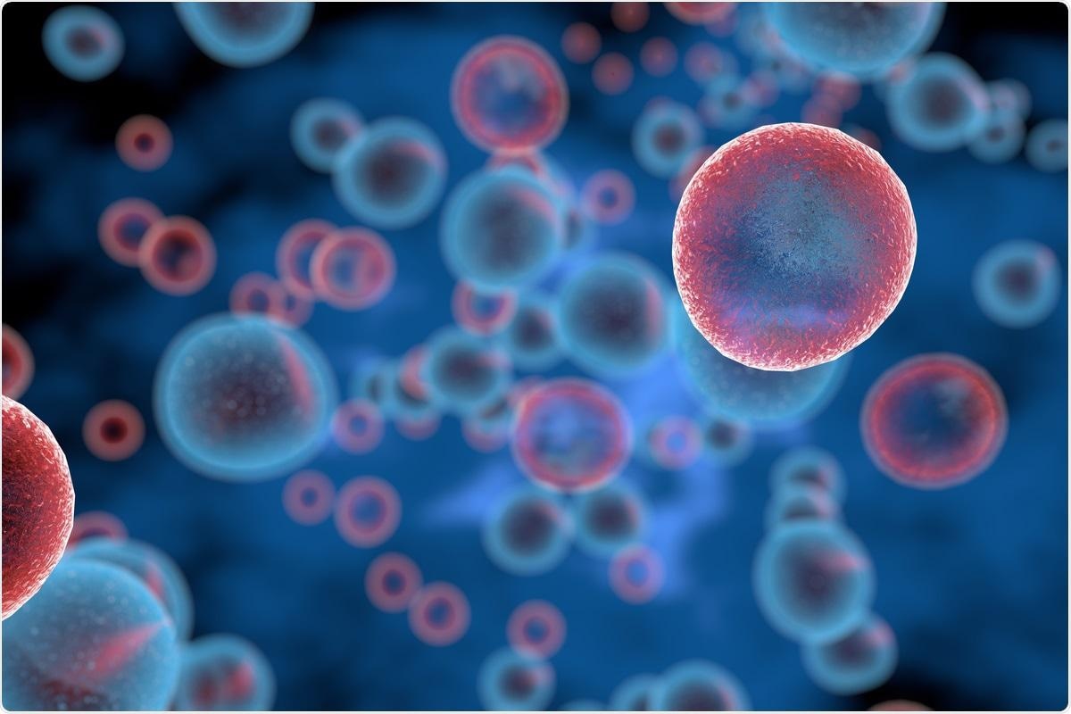 Study: Ablation of CD8 + T-cell recognition of an immunodominant epitope in SARS-CoV-2 Omicron. Image Credit: Giovanni Cancemi / Shutterstock.com