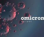 Superior immune response in vaccinated after infection with Omicron compared to unvaccinated