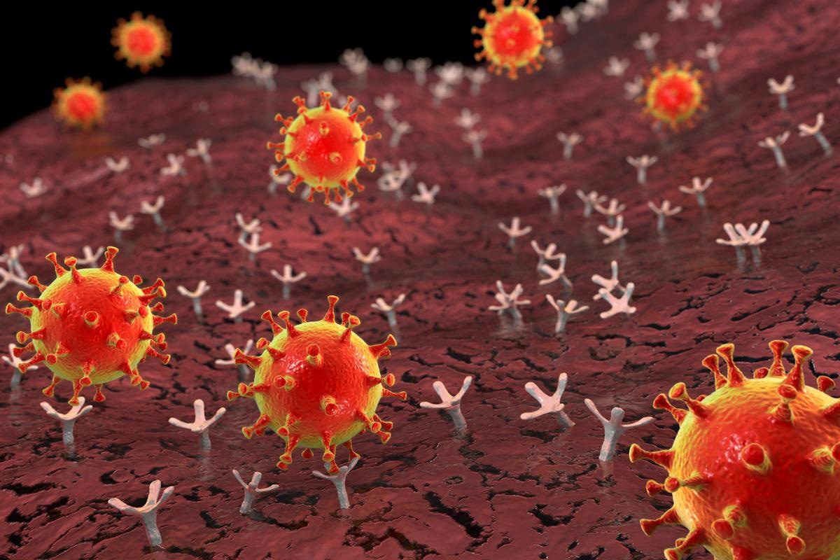 Study: Characterization of ACE2 naturally occurring missense variants: impact on subcellular localization and trafficking. Image Credit: Kateryna Kon/Shutterstock