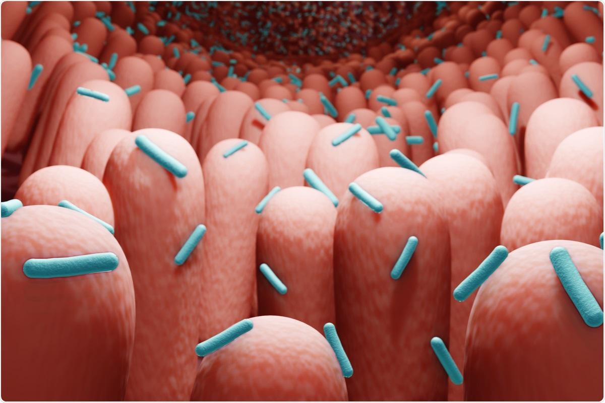 Study: Assessment of Microbiota in The Gut and Upper Respiratory Tract Associated With SARS-Cov-2 Infection. Image Credit: ART-ur / Shutterstock.com `