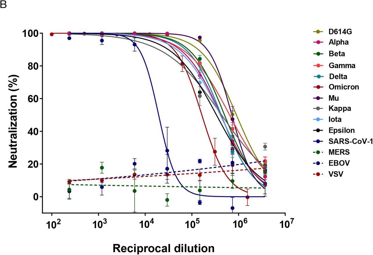 SARS-CoV-2 neutralizing activity curves for FBR-002 against SARS-CoV-2 VoC: reference D614G, Alpha, Beta, Gamma, Delta, Omicron, Mu, Kappa, Iota, Epsilon, SARS-CoV-1, MERS, EBOV and VSV. Neutralizing activity curves are presented using nonlinear regression model fit with settings for log inhibitor vs normalized response curve by GraphPad Prism V8.