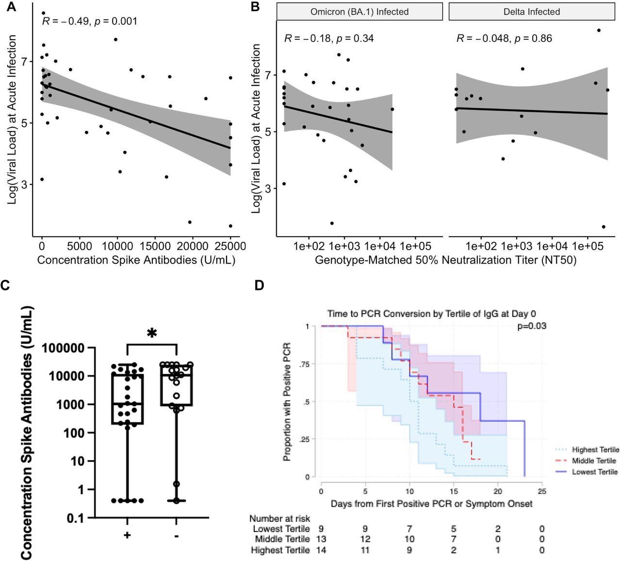 A. The logarithm of viral load at the time of infection vs the concentration of anti-Spike antibodies at the time of breakthrough. A regression line with standard error is shown, with the Pearson correlation coefficient and corresponding p value. B. Genotype-matched neutralizing antibody titers. A regression line with standard error is shown, with the Pearson correlation coefficient and corresponding p value. C. Anti-Spike antibody concentration at the initial study visit for culture-positive cases (+) and culture negative cases (−). Significance according to an unpaired Wilcoxon rank-sum test is shown. * - p < 0.05. D. Kaplan-Meier curves for time to PCR conversion by tertile of anti-Spike responses. The P-value represents log-rank testing comparing the subgroups.