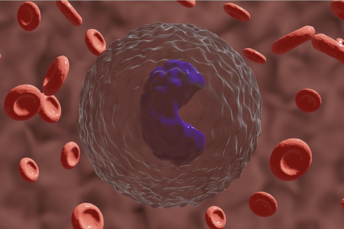 Study: Unique molecular signatures sustained in circulating monocytes and regulatory T cells in Convalescent COVID-19 patients. Image Credit: MohamadOuaidat/Shutterstock