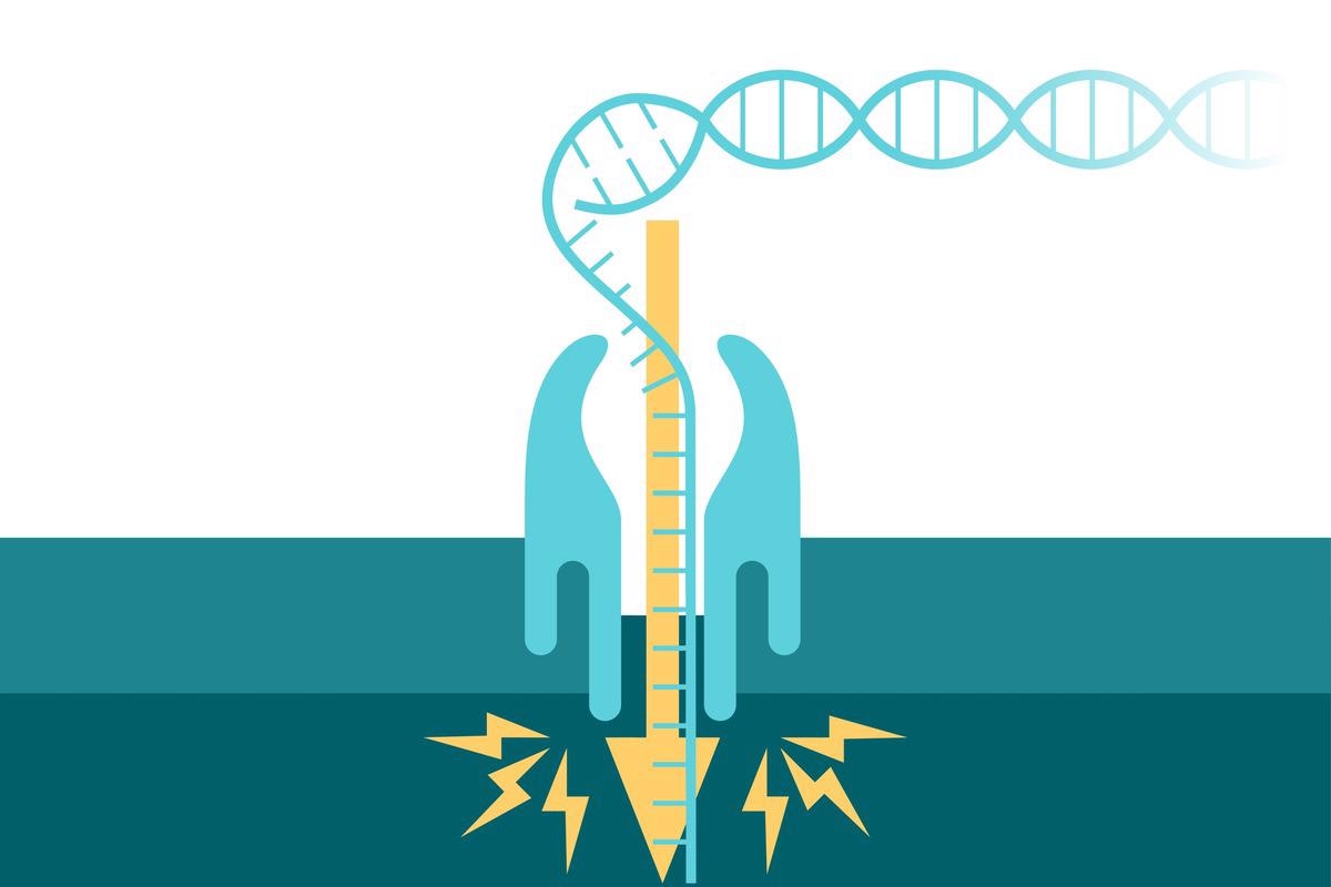 Study: Accelerated identification of disease-causing variants with ultra-rapid nanopore genome sequencing. Image Credit: Dmitry Kovalchuk/Shutterstock