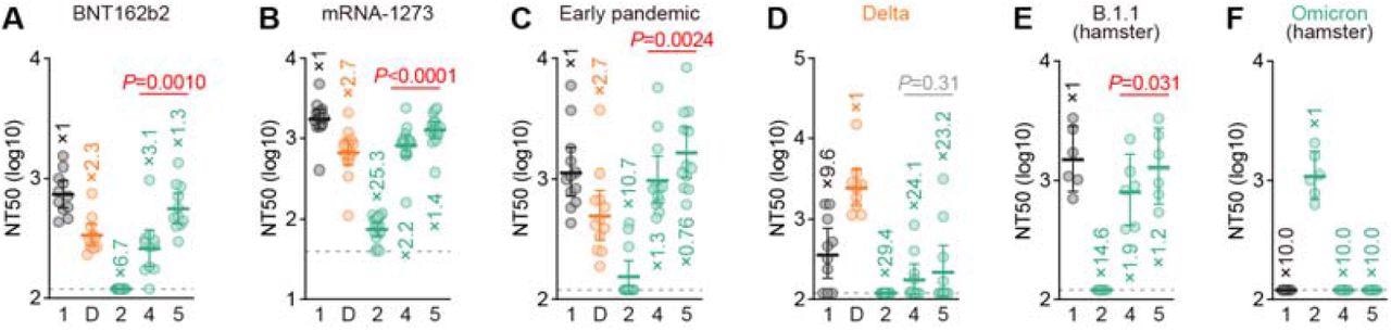 Immune resistance conferred by the Omicron RBD. Neutralization assays were performed with pseudoviruses harboring a series of S protein sequences.  D, Delta variant. Vaccinated sera [BNT162b2 (A, 11 donors); or mRNA-1273 (B, 16 donors)], convalescent sera of individuals infected with an early pandemic virus (before May 2020) (C, 12 donors), or Delta (D, 10 donors) and convalescent sera of hamsters infected with B.1.1 (E, 6 hamsters) or Omicron (F, 6 hamsters) were used. The list of sera used in this experiment is shown in Table S1. Each serum sample was analyzed in triplicate to determine the 50% neutralization titer (NT50). Each dot represents one NT50 value, and the geometric mean and 95% CI are shown. The numbers indicate the fold changes of resistance versus each antigenic variant. Horizontal gray lines indicate the detection limit of each assay (120 for A and C-F; 40 for B). Statistically significant differences between spikes 4 and 5 were determined by a two-sided Wilcoxon signed-rank test.