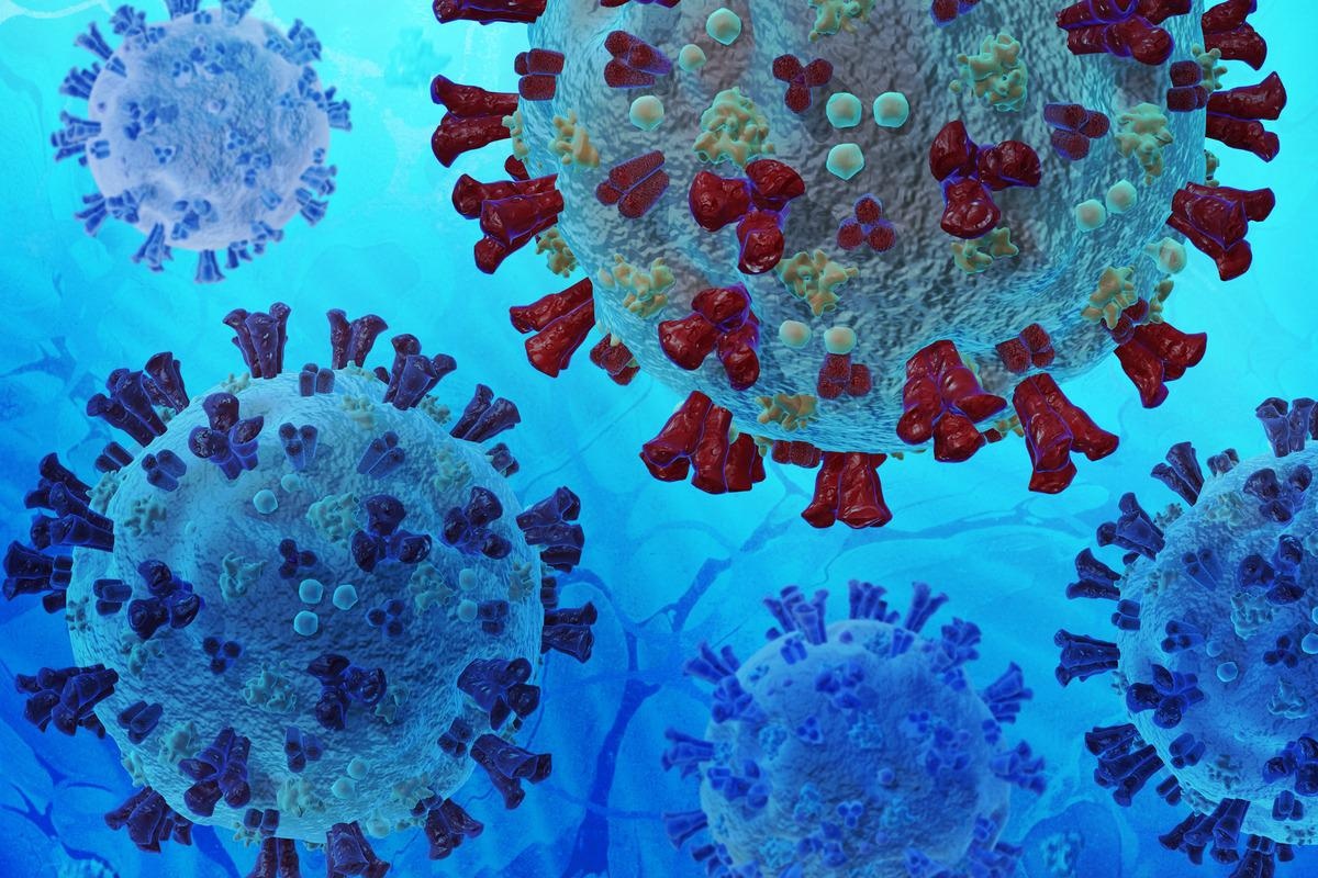 Study: Targeted genomic sequencing with probe capture for discovery and surveillance of coronaviruses in bats. Image Credit: Dana.S/Shutterstock