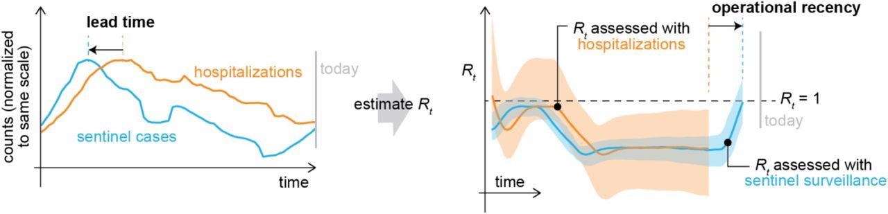 Theoretical diagram of the instantaneous effective reproductive number R(t) derived from hospitalizations (orange) and sentinel surveillance (blue). Because symptom onset typically occurs sooner in the course of disease than a visit to the emergency department or hospitalization, sentinel cases can return more recent estimates of R(t) than hospital-based indicators. With sufficient sample size, sentinel surveillance could also return more precise estimates of R(t).