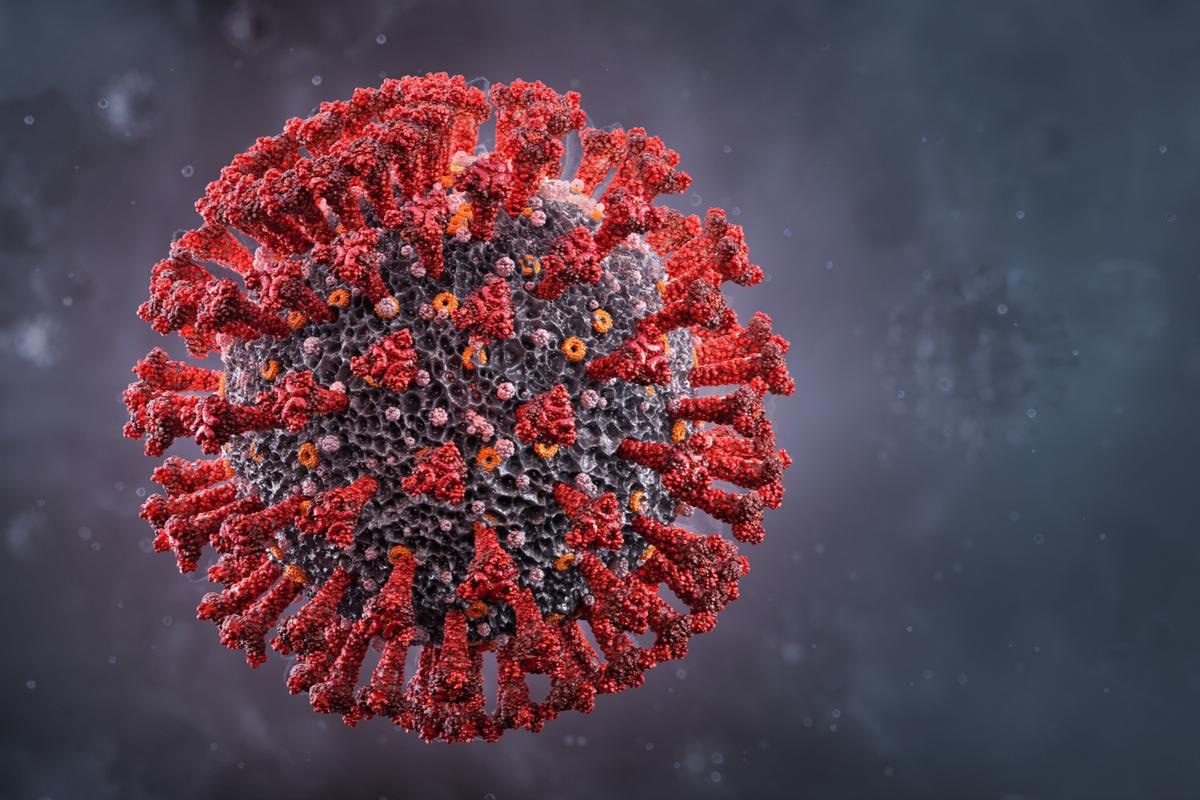 Study: SARS-CoV-2 accessory proteins ORF7a and ORF3a use distinct mechanisms to downregulate MHC-I surface expression. Image Credit: Corona Borealis Studio/Shutterstock