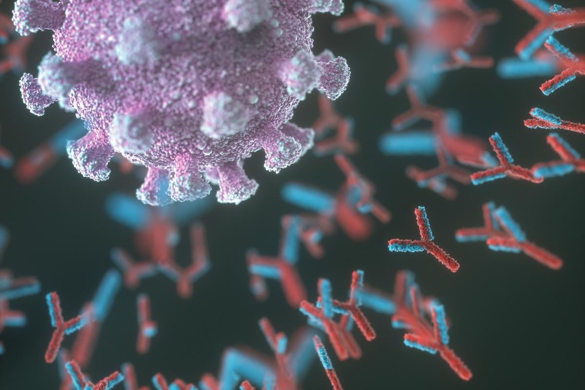 Study: Longitudinal kinetics of RBD+ antibodies in COVID-19 recovered patients over 14 months. Image Credit: ktsdesign/Shutterstock