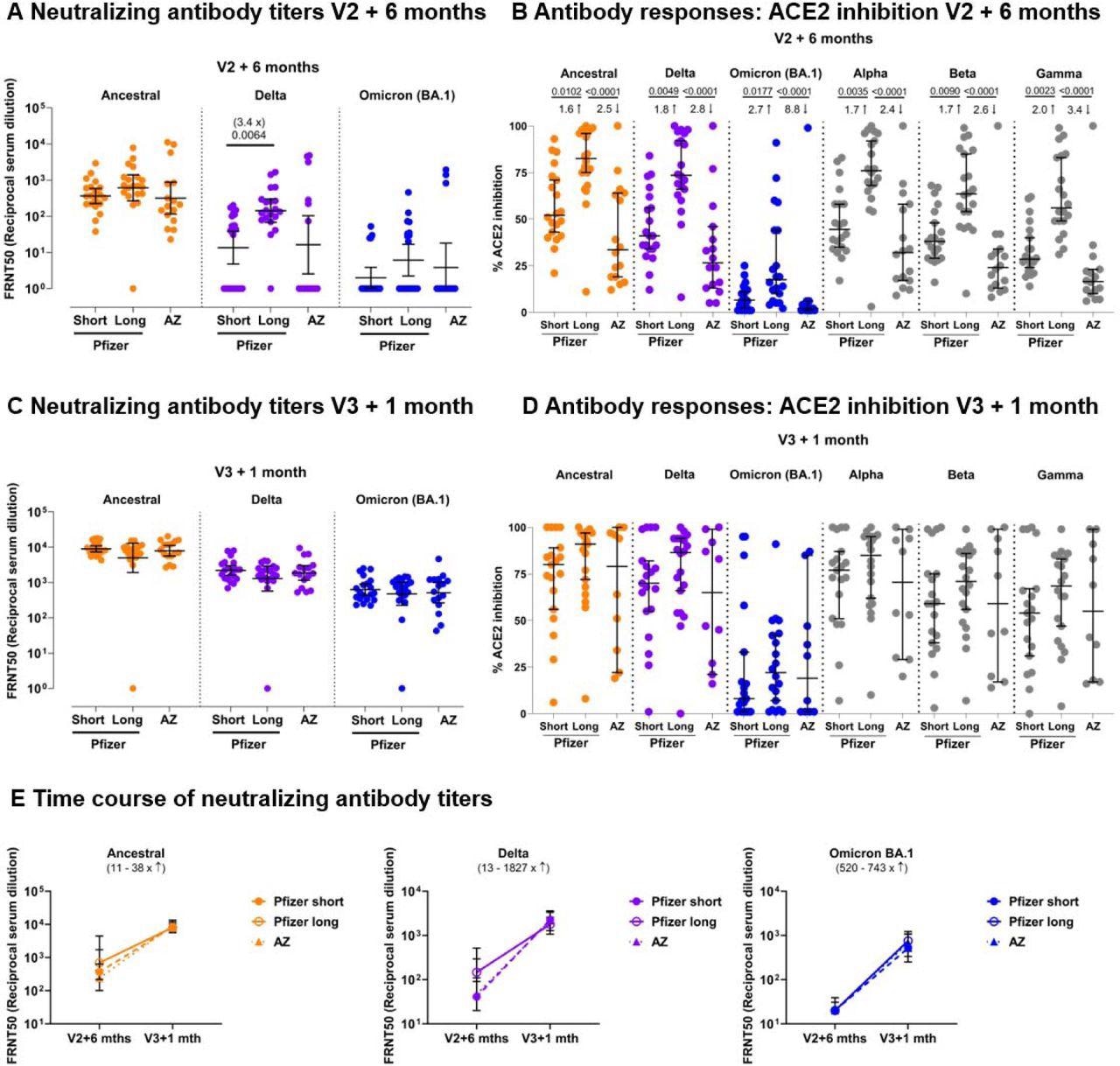 Neutralizing antibody titer profiles against SARS-CoV-2 variants of concern 6 months after 2 doses of BNT162b2 or AZ1222 and 1 month after a third vaccine with BNT162b2. Neutralizing antibodies against the Victoria isolate (orange), delta (B.1.617.2, purple) and omicron BA.1 (B.1.1.529 BA.1, blue) taken from infection-naïve participants after receiving 2 doses of BNT162b2 (Pfizer-BioNTech) vaccine delivered in a short (“Short”, 3-5 weeks,