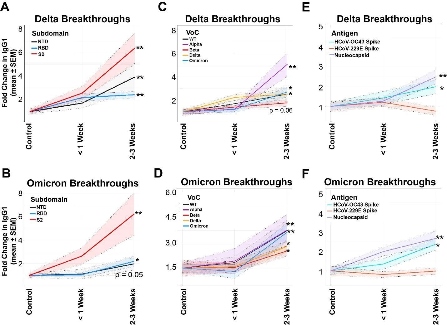 ​​​​​​​Conserved regions of Spike are selectively expanded in breakthrough cases. (A) Fold changes in IgG1 binding of the subdomains of Spike (NTD in black, RBD in blue, and S2 in red) for vaccinated, Delta breakthrough cases at <1 week or 2-3 Weeks post-breakthrough. (B) Same as A, but for vaccinated Omicron breakthrough cases. (C) Fold changes in IgG1 binding of the full-length Spikes from VoC in Delta breakthrough cases. (D) Same as C, but for Omicron breakthrough cases. (E) Fold changes in IgG1 binding of the Spike of common CoV Spikes in Delta breakthrough infections at < 1 Week or 2-3 Weeks post-breakthrough. SARS-CoV-2 nucleocapsid (N) is used as a control for infection. (F) Same as C, but for Omicron breakthroughs. * = p < 0.05, and ** = p < 0.01 for all panels.