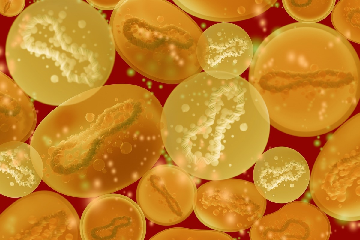 Study: Transmission potential of human monkeypox in mass gatherings. Image Credit: FOTOGRIN/Shutterstock