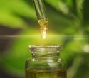 The Future of CBD research, marketing, and regulation